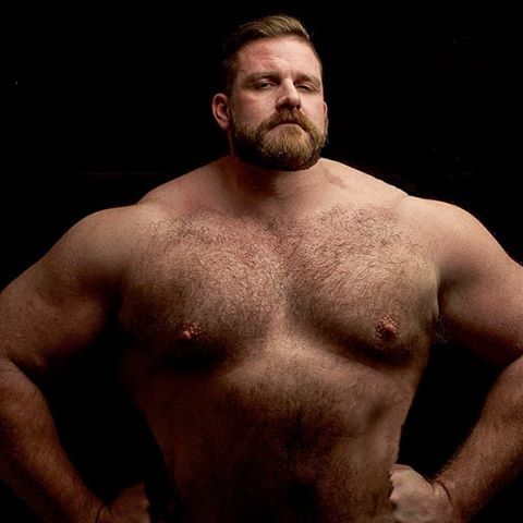 Duchess reccomend hairy muscle bear porn